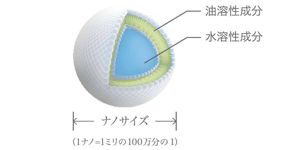 ナノソーム